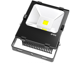 Black Charm LED Flood Light BWL7-11